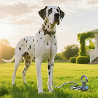 Dog Tie Out Cable and Stake - dog stake+300lbs/Stake Only / Silver - image 4