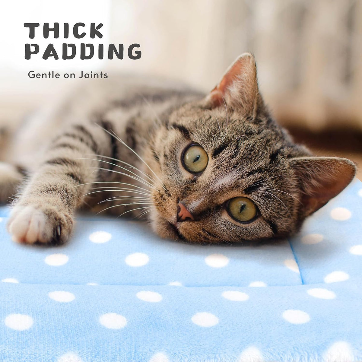 2 Pack Cat Blanket for Indoor Cats - Polka Dots / 22X15 in - image 2