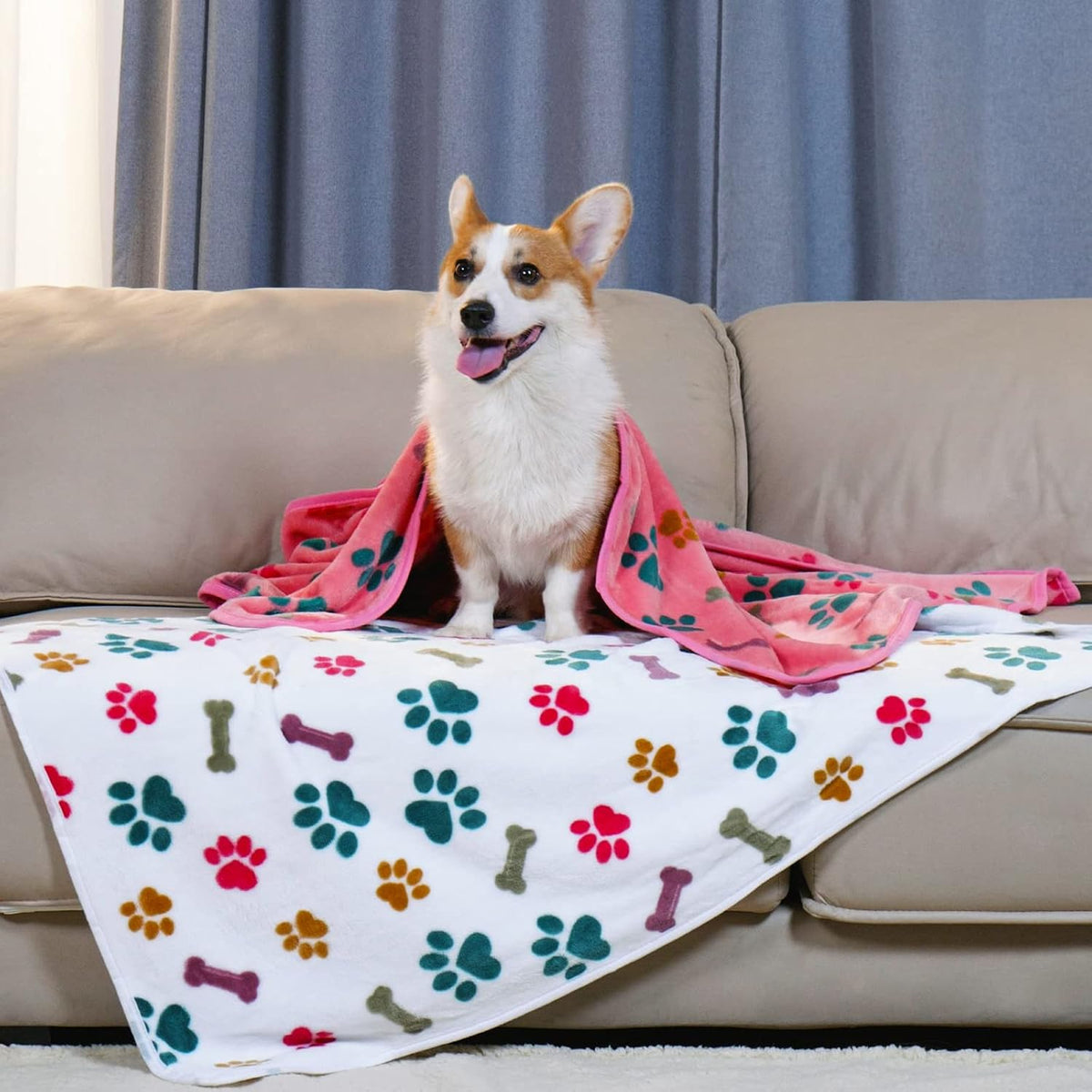 Luciphia 1 Pack 3 Blankets Fluffy Premium Fleece Pet Blanket Flannel - 30x20 inch (Pack of 3) / Bone2 - image 2