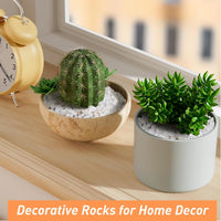 2.5 lbs Coarse Sand for Plants, Desert Silica Sand for Cactus - 2.5 Pounds / White - image 4