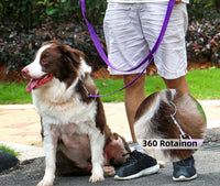Long Dog Leashes for Training 15/20/30/50/100FT Lead for Medium Small - 1 Inch x 30 Feet / Purple - image 2
