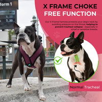 Gooby Comfort X Head-in Dog Harness, Choke-Free - Large Chest (17-22.5") / Purple - image 3