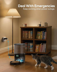 Automatic Cat Feeder Food Dispenser: 6L Timed Small Dog Dry Food Dispenser with 10s Voice - Distributeur Nourriture Chat Hund Programmable - Auto Pet Feeder with 1-6 Meals Black