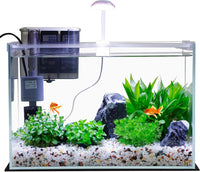 Vimvins 5 Gallon Glass Small Fish Tank with Filter Light and Lid - 5 Gallon