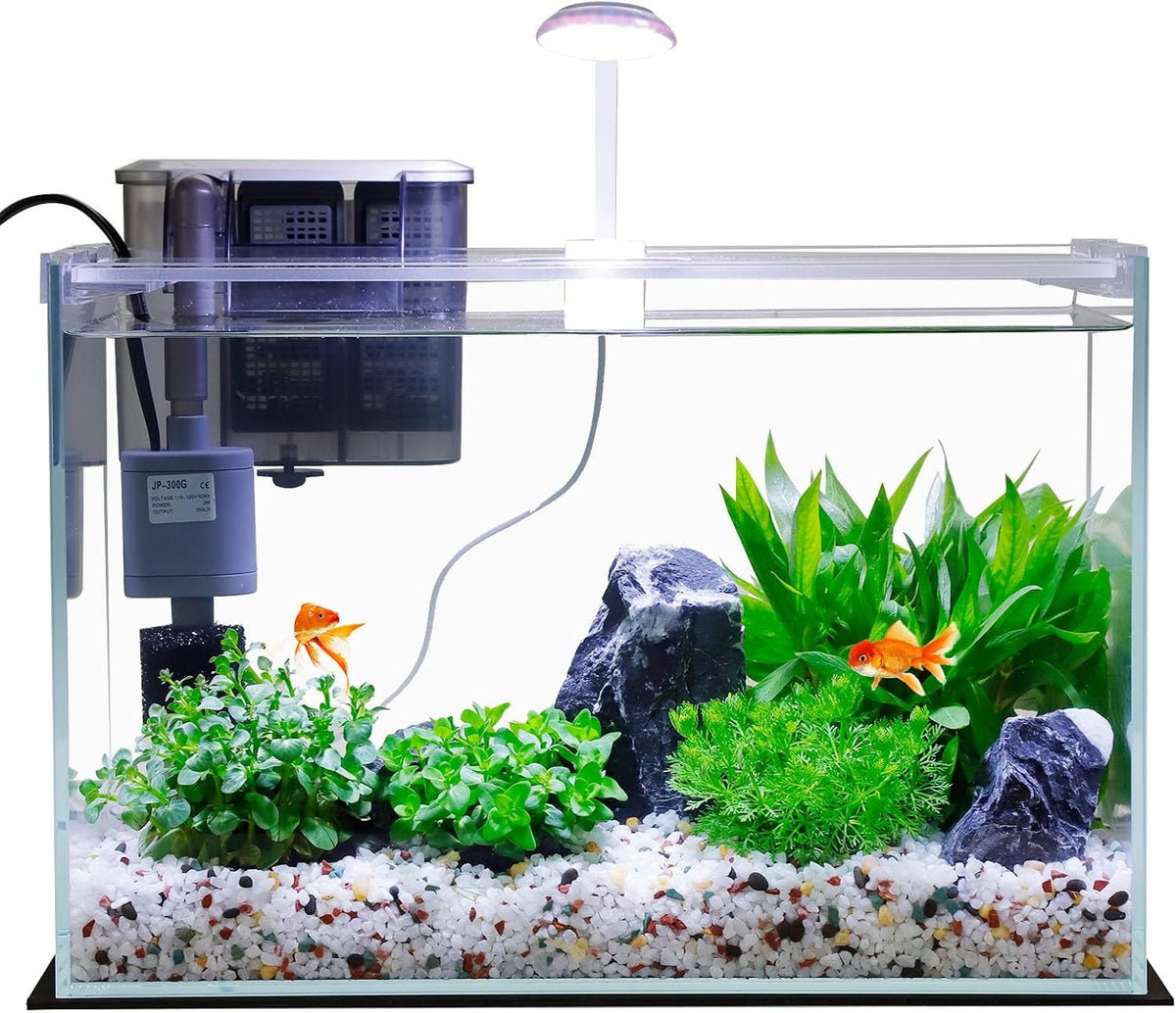 Vimvins 5 Gallon Glass Small Fish Tank with Filter Light and Lid - 5 Gallon