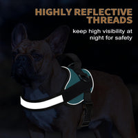 Haapaw Essential Dog Harness - S / Blue - image 3