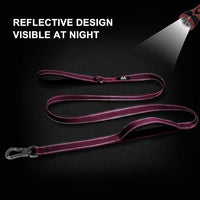 TwoEar 4FT 1IN Strong Rose Dog Leash with 2 Padded Handles, Traffic Handle Extra Control, Comfortable Soft Dual Handle, Auto Lock Hook, Reflective Walking Lead for Small Medium and Large Dogs