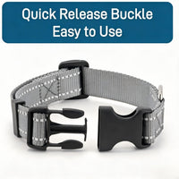 Dog Collar for Small Medium Dogs with Buckle - Light Gray / Medium - image 4
