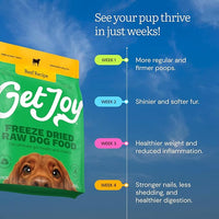 Get Joy Gut Health Fresh Freeze Dried Raw Meal, Beef Recipe, 16 Ounce Bag, Dog Food for Dogs of All Breeds and Life Stages, PhD Animal Nutritionist Formulated, USDA Beef, Made in USA