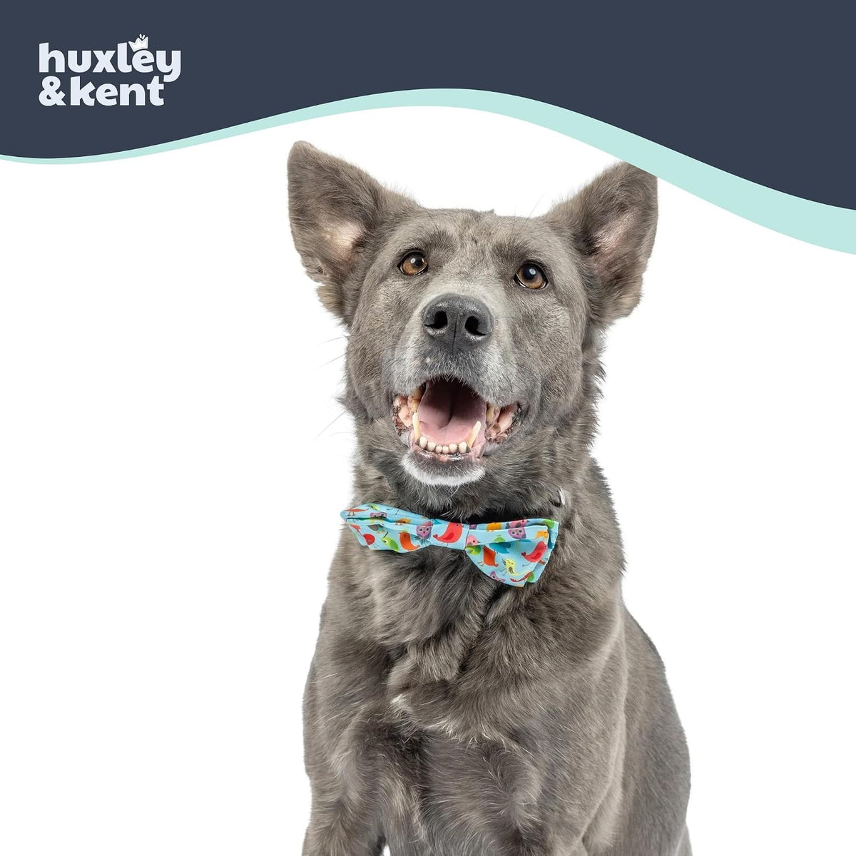 Huxley & Kent Pet Bow Tie for Dogs & Cats - Yard Birds / Large - image 3