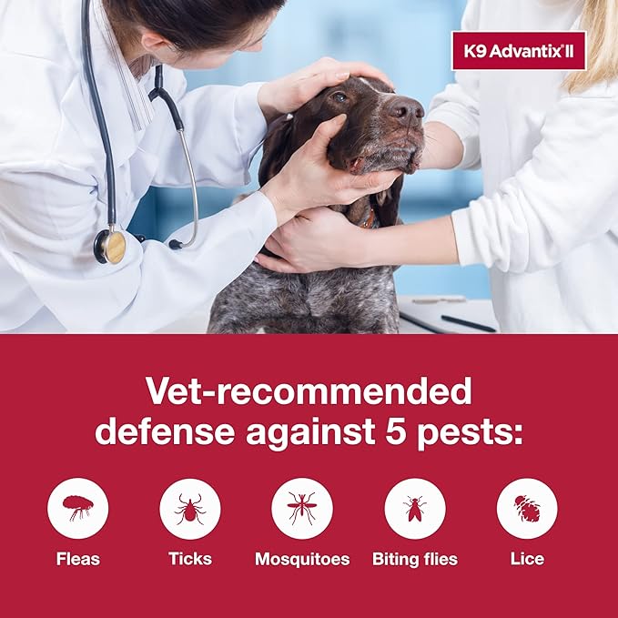 K9 Advantix II XL Dog Vet-Recommended Flea, Tick & Mosquito Treatment & Prevention | Dogs Over 55 lbs. | 6-Mo Supply (Pack of 2)