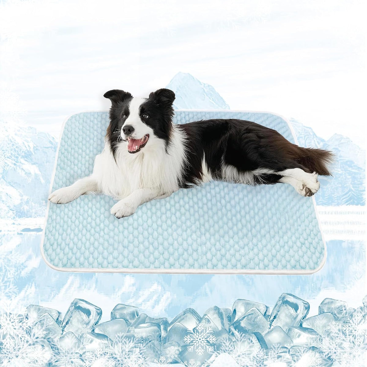 MICROCOSMOS Dog Sleeping Pad & Pet Cooling Mat - 36" x 36" / BlueWhite