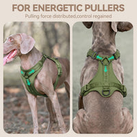 Sunraymascota Dog Harness - XS (Neck: 10-16", Chest: 14-20") / Misty Green - image 2