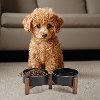 SPUNKYJUNKY Ceramic Dog Bowls with Acacia Wood Stand - 13.52 oz / Black - image 4