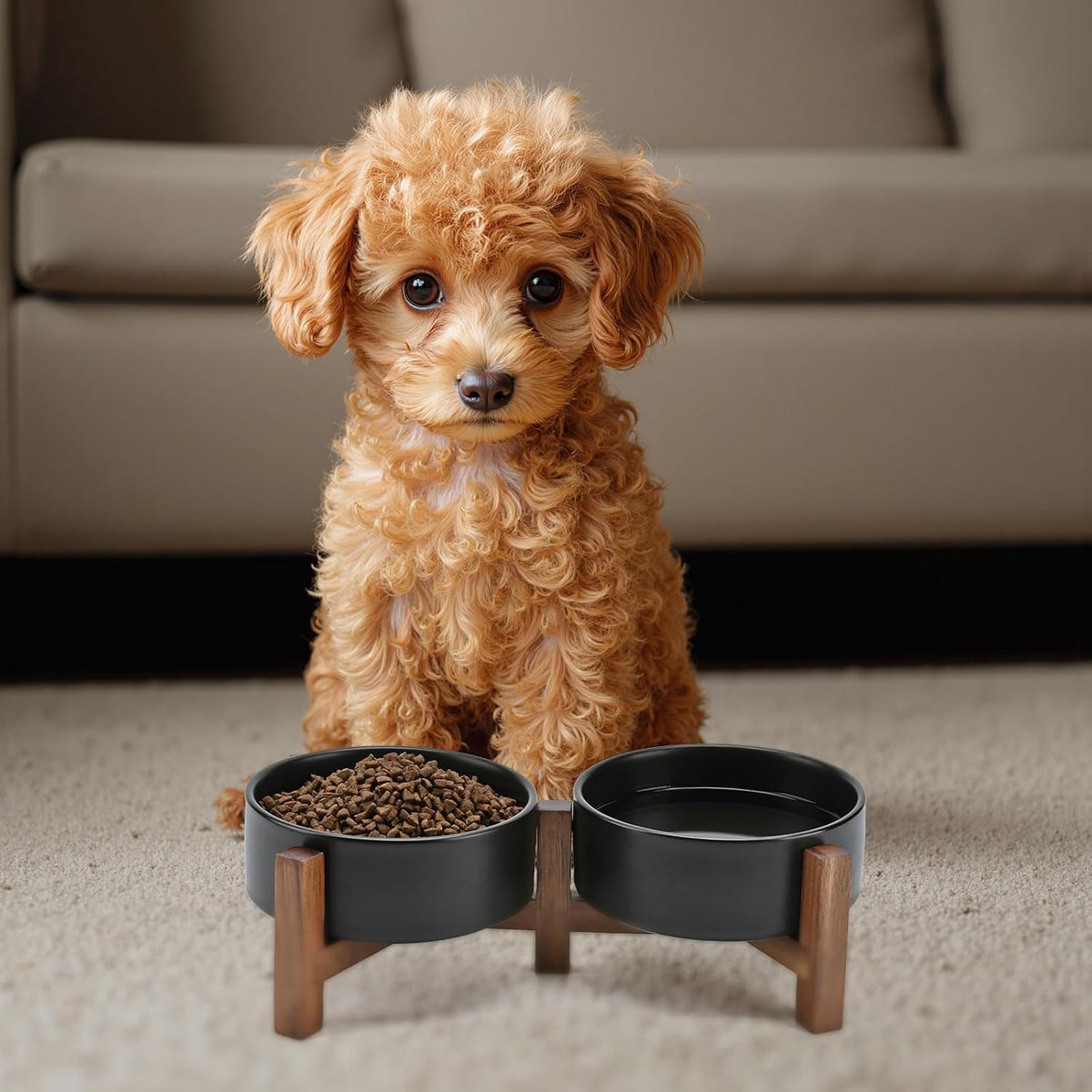 SPUNKYJUNKY Ceramic Dog Bowls with Acacia Wood Stand - 13.52 oz / Black - image 4