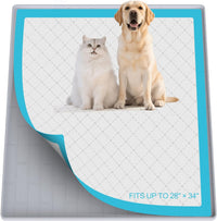 Pee Pad Tray Holder for Dogs - Light Gray / 34"L x 28"W