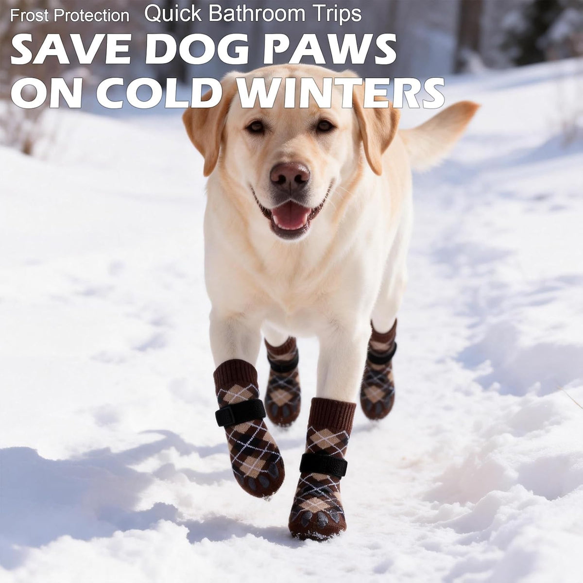 EXPAWLORER Dog Socks to Prevent Licking Paws - Small / Brown - image 4