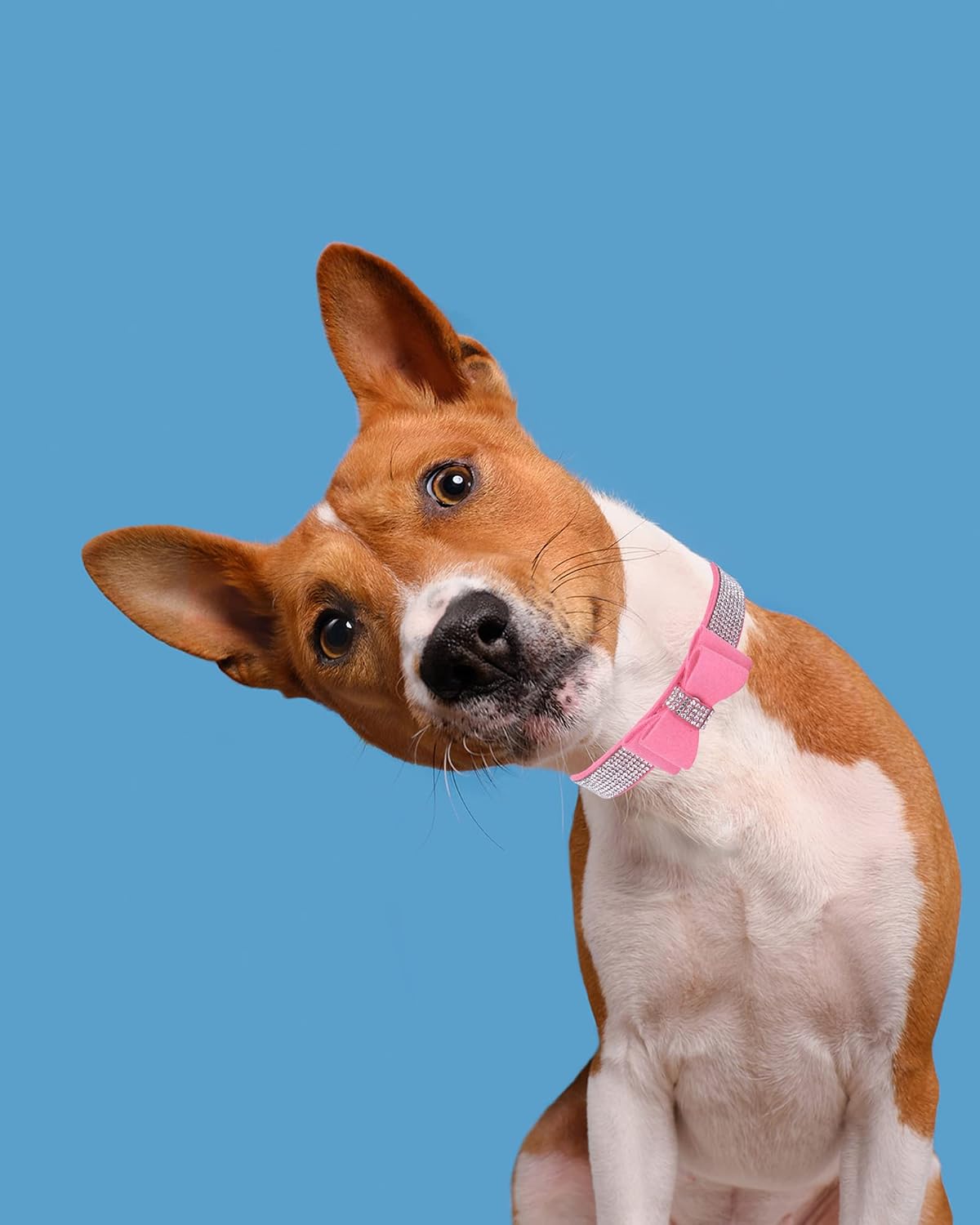 Dog Collar for Small Dogs - L / pink1 - image 3