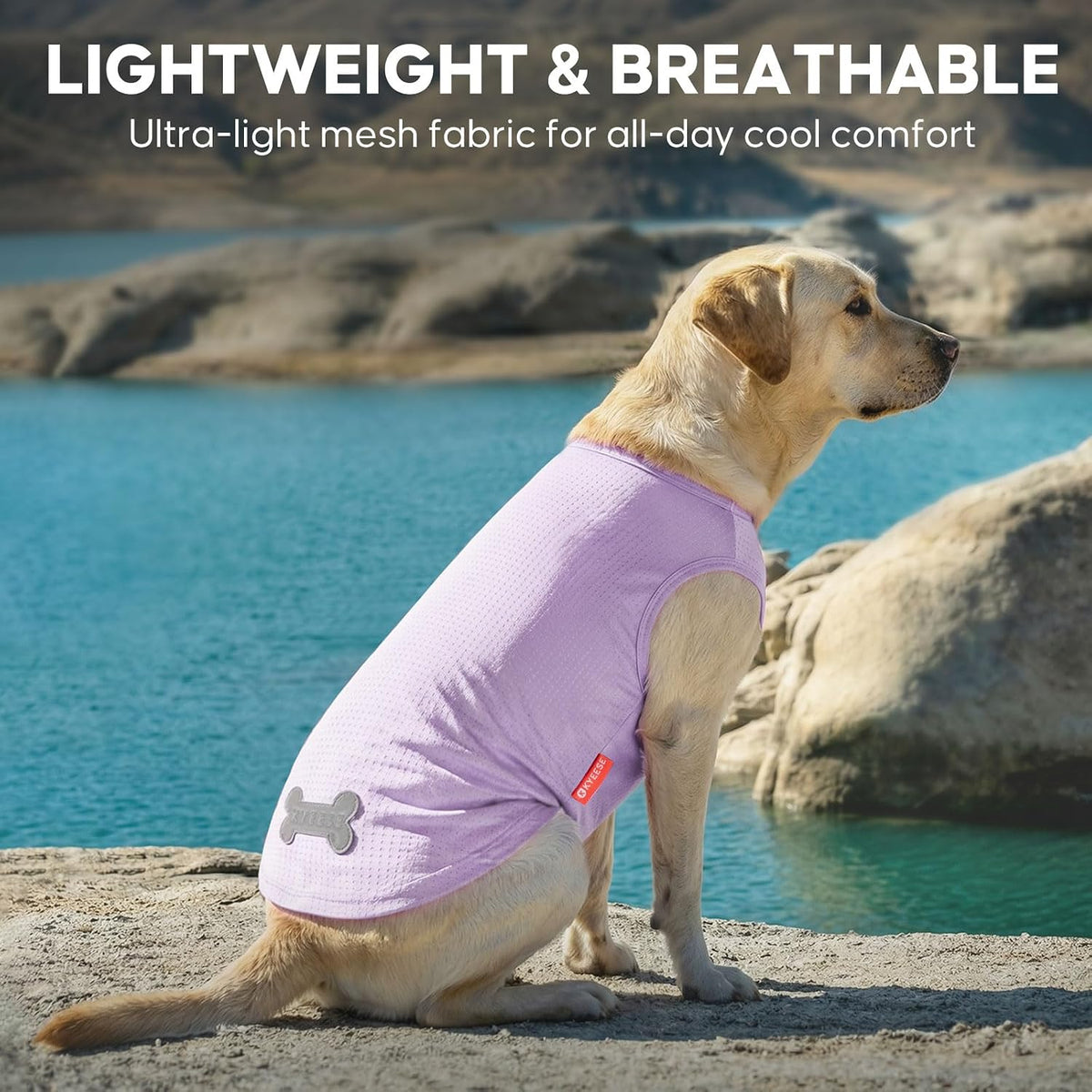 KYEESE 2Pack Dog Shirts for Medium Large Dogs Breathable Mesh Tank Top – Essentials for Dogs - XX-Large (40-55lbs) / 3# 2Pack (Dinosaur+Purple) - image 4