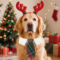 ADOGGYGO Fall Dog Neck Tie - Large / Green - image 2