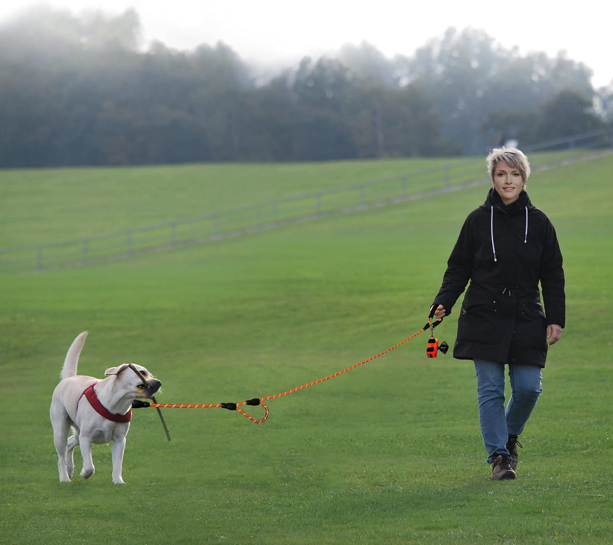 Plutus Pet Rope Dog Leash with Double Handles, Reflective - Rope-Orange - image 2