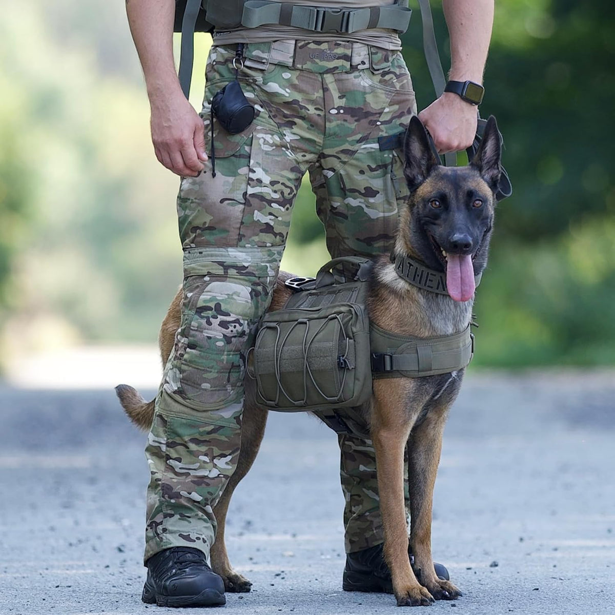 OneTigris Dog Backpack for Medium & Large Dogs - Green / Medium - image 4