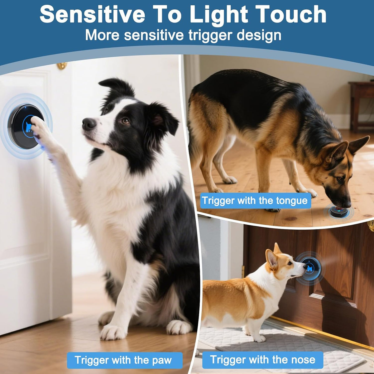 Dog Door Bell for Potty Training - Black – 1 Button - image 3