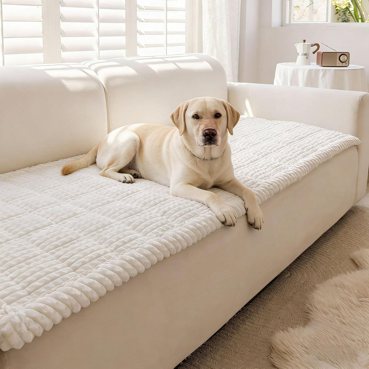 Couch Cover for Dogs Washable - White / 27.6" x 82.7"