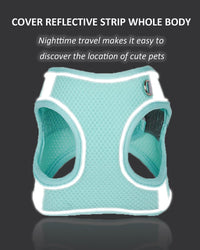 Solmoony no-pull step-in mesh dog harness for small and medium dogs with reflective strip - view 4