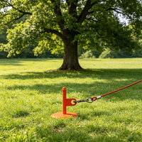 Dog tie-Out Stake for Dogs - Orange - image 2