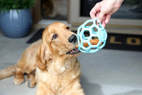 JW Pet HOL-ee Roller Dog Puzzle Ball, Large 5.5in - Blue / Large - image 3
