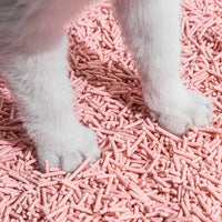 Tofu Cat Litter Natural Clumping Tofu Cat Litter, Fast Clumping and Easily Scoop-able 5.5lb/88oz 5 Scents - Peach, 4 Pack
