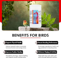 Morning Bird Kelp Granules 16 Oz – Iodine Supplement for Birds – Supports Feather Growth, Molting & Metabolism – Rich in Amino Acids, Trace Minerals & Natural Vitamins – Clean Nutrition for All Birds