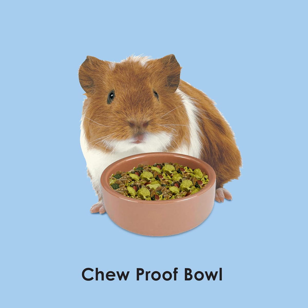 Kaytee Stoneware Ceramic Pet Hamster Bowl, Brown - 3 in - image 3