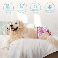 Avont 3 Pack Reusable Dog Diapers Female-Strawberry/Orange/Cherry – Essentials for Dogs - Mermaid Pattern - Purple Pink Blue / XL - image 3