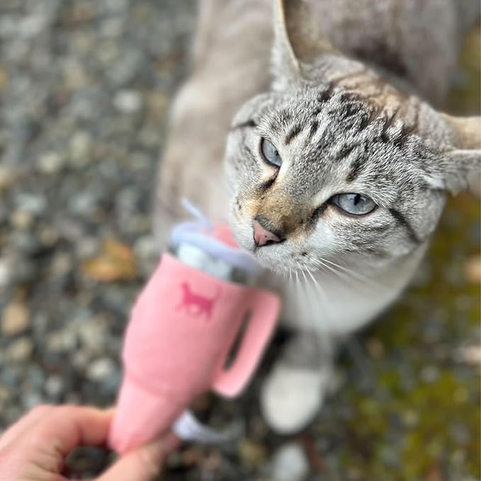 Kitty Cup Tumbler Cat Toy – Funny Cat Birthday Gifts with Catnip & Crinkle Paper, Cute Girl Kitten Toys (Chambray Blue)