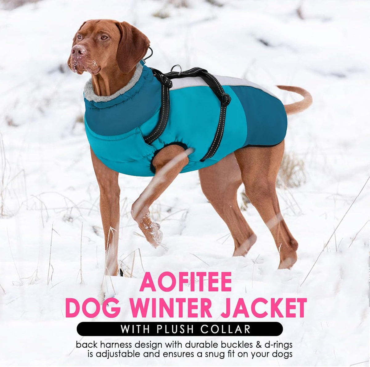 Large Dog Coat Waterproof Dog Winter Jacket with Harness TurquoiseL – Essentials for Dogs - PineGreen / Large - image 3