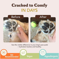 Natural Dog Company Paw Soother Balm Bundle, with 4 Travel Sticks (0.15 oz Each), Lotion, Moisturizes & Soothes Irritated Paws & Elbows, Protects from Cracks & Wounds, Lick-Safe, Made in USA