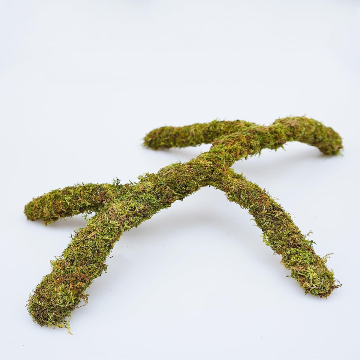 Leopard Gecko Tank Accessories - image 4