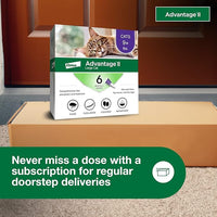 Advantage II Large Cat Vet-Recommended Flea Treatment & Prevention | Cats Over 9 lbs. | 6-Month Supply