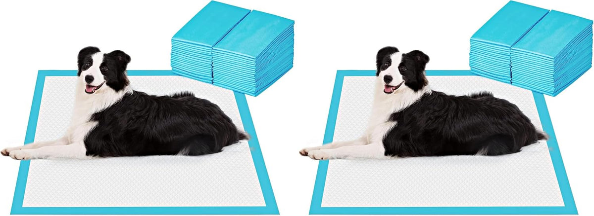 BESTLE Extra Large Pet Training and Puppy Pads Pee Pads for Dogs - 40-Count (Pack of 2)