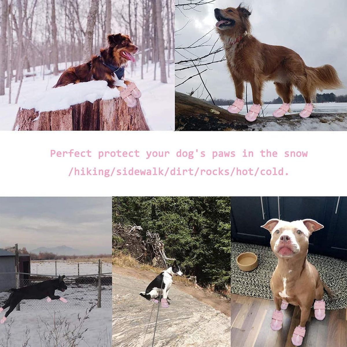 XSY&G Dog Shoes for Hot Pavement - Size 1 / Pink - image 3
