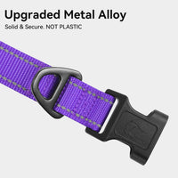 Joytale Reflective Dog Collar, Adjustable Neoprene Padded - X-Large (Pack of 1) / Purple - image 3