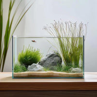 Vimvins 3 Gallon Glass Fish Tank - 10 Gallon