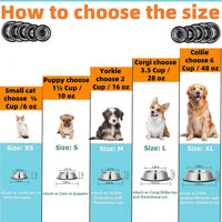 2 Pack Stainless Steel Dog Bowls with Rubber Bottom - ¾ Cup / 6 oz - image 2