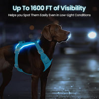 Light Up Dog Harness - Rechargeable LED Reflective Pet Vest for Night Walking - Adjustable No-Pull Safety Harness for Small Medium Large Dogs, Blue, XS