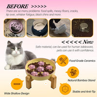 Ceramic Slow Feeder Cat Bowl, 6.3" Whisker Friendly Anti-Vomit - Light Purple - image 4