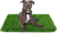 GLOBREEN 34" x 23" Fake Grass Pee Pad for Dogs Potty Training Turf - Green-01 / 39.4x31.5 Inch