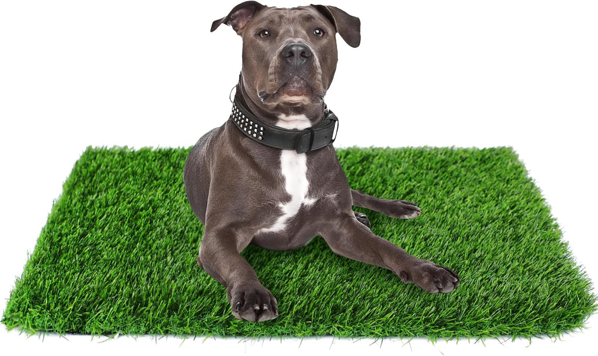 GLOBREEN 34" x 23" Fake Grass Pee Pad for Dogs Potty Training Turf - Green-01 / 39.4x31.5 Inch