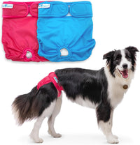 Paw Inspired Washable Dog Diapers, Assorted and White Lining - Assorted (White Lining) / Large (2 ct.)